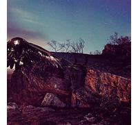 Morrison Kincannon - Beneath the Redwoods