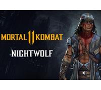 Mortal Kombat 11 Nightwolf (DLC) (PC) Steam Key - GLOBAL