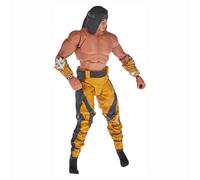 Mortal Kombat 7 Inch Action Figure Liu Kang (Fighting Abbot Skin)