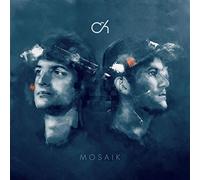 Mosaik (2
