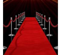 mosegor Red Carpet 10 x 1 m VIP Runner 2.2 mm Thick Red Carpet Wedding Event Rug Christmas Outdoor Reception Rug for Party, Ceremony