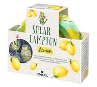 moses. Leaf & Flower Solar Lantern - Atmospheric Solar Light in Design, with Warm White LED Light, Automatically Rechargeable, Weatherproof (IP44), for Garden, Balcony & Patio, Includes Gift Box