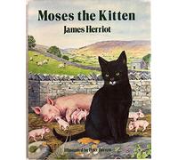 Moses the Kitten