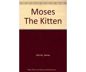 Moses The Kitten