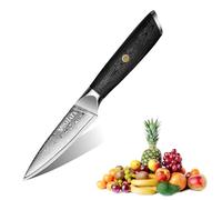 MOSFiATA Damascus Fruit Knife 4", Ultra Sharp Paring Knife, 67 Layers Damascus Steel VG10 Core Multipurpose Small Kitchen Knife Professional Peeling Knives, G10 Handle with Rivet Chef Gift