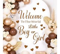 MOSITU Baby Shower Backdrop Decals 37 Pcs 2 Sheets Gender Reveal Party Stickers Boy or Girl Sign Balloon Arch Wall Decor Oh Baby He She Photo Props for Neutral Nursery