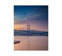 Mosque with bridge over the Bosphorus, Istanbul, Turkey，Jigsaw Puzzles Puzzles for Adults Kids. 1000 PieceEducational Game Home Decoration for Adults& Kids Age 14 Years Up 1000pcs（50x70cm）-H82