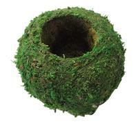 Moss Ball, 6 Inch Natural Planter Bonsai Moss Kokedama Flower Pot Green Bonsai Plant Holder for DIY Gardening Planting Home Table Decoration