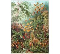 Moss (Muscinae) - Art Forms In Nature, Vintage Art Poster, Ernst Haeckel - Premium 1000 pieces Puzzle - MyPuzzle special collection from Havana Puzzle Company