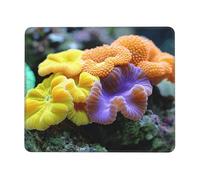 Moss on The Stone. Multi Size Mouse pad for Office, Study & Play-Mousepad with Strong Adhesion and Thick Comfortable Surface