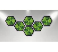 Moss Pattern Wall Art - Real, Zero Maintenance, Eco-Friendly Natural Green Decor - Framed Contemporary Decoration With Living Plants (HEXAGON, 6 Piece)