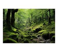 Moss Scenic Scenery Aquarium Background Tropical Forest with Lush Green Moss Terrarium Backdrop Stream Rocks Rainforest Natural Landscape Fish Tank Background Wallpaper Poster Decors Vinyl 36x18in