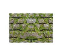 Moss Stone Pavement Print Placemats Set of 6, Heat Resistant Dining Place Mats, Washable Reusable Table Mats for Spring and Summer Decorations Home Kitchen Dining Party Restaurant