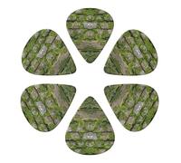 Moss Stone Pavement Printed Guitar Picks -6 Pcs Guitar Picks Plectrum,Guitar Accessories,Electric Guitar Pick 0.46mm