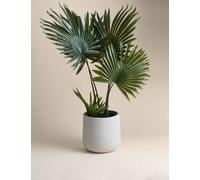 Moss & Sweetpea Artificial Floor Standing Fern House Plant White