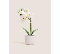 Moss & Sweetpea Artificial Real Touch Small Orchid in Pot White
