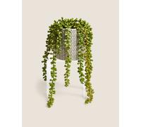Moss & Sweetpea Artificial String of Pearls in Ceramic Pot Green