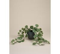 Moss & Sweetpea Artificial Trailing Eucalyptus in Ceramic Pot Grey
