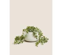 Moss & Sweetpea Artificial Trailing String of Hearts Plant Green