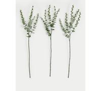 Moss & Sweetpea Set of 3 Artificial Eucalyptus Single Stems Green