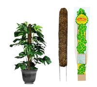 Mosser Lee Sphagnum Moss Pole for Indoor Plants, Monstera Moss Pole, Plant Pole Made in USA - Ideal for Climbing Plants, Enhances Plant Growth & Stability - 18" Height
