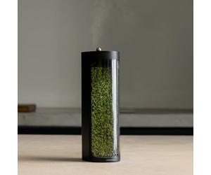 Mosslab Moss Air Humidifier for Live Mosses, Natural Air Enhancement, Terrarium Mode, Portable and Whisper Quiet, 320ml Tank (Black)