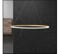MOSSODOR Modern Pendant Light Single Tier Ring Chandelier Round Chandelier Flush Mount Ceiling Lighting Fixture for Living Room Dining Room Lobby Restaurant, LED Lights, Gold