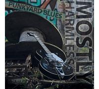 Mostly Harmless - Punkyard Blues