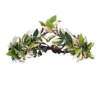 MOSTORY Woodland King Crown Laurel Headpiece for Cosplay Costume Renaissance