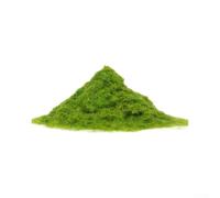 MoSundi 500g Static Grass 3mm for Diorama Layouts(30g)