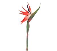 MoSundi 6-Pack Artificial Bird of Paradise Flowers, Realistic Faux Floral Stems with Bendable Iron Wire Indoor Home Garden Wedding Decoration, for Orange Red Green Pink Blue