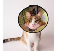 Mosytuky Pet Recovery Collars & Cones for Dogs and Cats After Surgery Adjustable Dog Neck Cone Surgical Elizabeth E-Collar Prevent Biting and Stop Licking Wound (Country Farm Morning Rooster,Large)