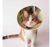 Mosytuky Pet Recovery Collars & Cones for Dogs and Cats After Surgery Adjustable Dog Neck Cone Surgical Elizabeth E-Collar Prevent Biting and Stop Licking Wound (Country Farm Morning Rooster,Small)