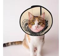 Mosytuky Pet Recovery Collars & Cones for Dogs and Cats After Surgery Adjustable Dog Neck Cone Surgical Elizabeth E-Collar Prevent Biting and Stop Licking Wound (Let The Adventure Begin,Small)