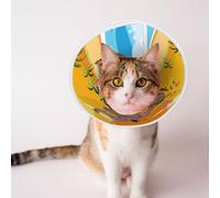 Mosytuky Pet Recovery Collars & Cones for Dogs and Cats After Surgery Adjustable Dog Neck Cone Surgical Elizabeth E-Collar Prevent Biting and Stop Licking Wound (Animals On Noah's Ark1,Medium)