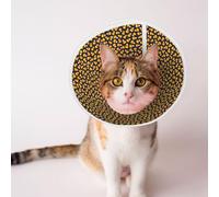 Mosytuky Pet Recovery Collars & Cones for Dogs and Cats After Surgery Adjustable Dog Neck Cone Surgical Elizabeth E-Collar Prevent Biting and Stop Licking Wound (Candy Corn,Large)