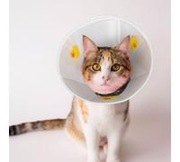 Mosytuky Pet Recovery Collars & Cones for Dogs and Cats After Surgery Adjustable Dog Neck Cone Surgical Elizabeth E-Collar Prevent Biting and Stop Licking Wound (Dachshund Sitting in Bathtub,Small)