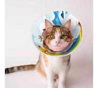 Mosytuky Pet Recovery Collars & Cones for Dogs and Cats After Surgery Adjustable Dog Neck Cone Surgical Elizabeth E-Collar Prevent Biting and Stop Licking Wound (Rainbow Animals On Noah's Ark,Medium)