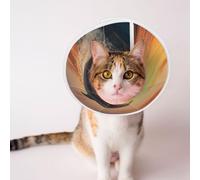 Mosytuky Pet Recovery Collars & Cones for Dogs and Cats After Surgery Adjustable Dog Neck Cone Surgical Elizabeth E-Collar Prevent Biting and Stop Licking Wound (Sunset Dancing Dolphin,Small)