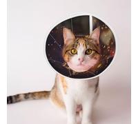 Mosytuky Pet Recovery Collars & Cones for Dogs and Cats After Surgery Adjustable Dog Neck Cone Surgical Elizabeth E-Collar Prevent Biting and Stop Licking Wound (Butterfly Sitting On A Flower,Large)