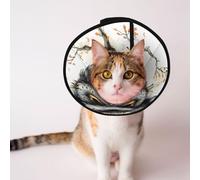 Mosytuky Pet Recovery Collars & Cones for Dogs and Cats After Surgery Adjustable Dog Neck Cone Surgical Elizabeth E-Collar Prevent Biting and Stop Licking Wound (Whimsical Owl On Branch,Small)