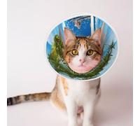 Mosytuky Pet Recovery Collars & Cones for Dogs and Cats After Surgery Adjustable Dog Neck Cone Surgical Elizabeth E-Collar Prevent Biting and Stop Licking Wound (Island and Coral Reef,Large)