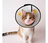 Mosytuky Pet Recovery Collars & Cones for Dogs and Cats After Surgery Adjustable Dog Neck Cone Surgical Elizabeth E-Collar Prevent Biting and Stop Licking Wound (Dachshund Sitting in Bathtub,Large)