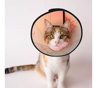 Mosytuky Pet Recovery Collars & Cones for Dogs and Cats After Surgery Adjustable Dog Neck Cone Surgical Elizabeth E-Collar Prevent Biting and Stop Licking Wound (The Sunset of Dandelion,Small)