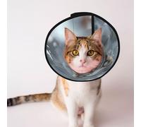 Mosytuky Pet Recovery Collars & Cones for Dogs and Cats After Surgery Adjustable Dog Neck Cone Surgical Elizabeth E-Collar Prevent Biting and Stop Licking Wound (Majestic Snowy Wolf,Large)