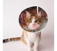 Mosytuky Pet Recovery Collars & Cones for Dogs and Cats After Surgery Adjustable Dog Neck Cone Surgical Elizabeth E-Collar Prevent Biting and Stop Licking Wound (Romantic Flower Fox Couple,Medium)