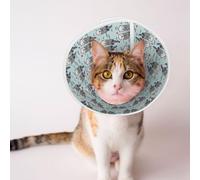 Mosytuky Pet Recovery Collars & Cones for Dogs and Cats After Surgery Adjustable Dog Neck Cone Surgical Elizabeth E-Collar Prevent Biting and Stop Licking Wound (Sea Otter,Small)