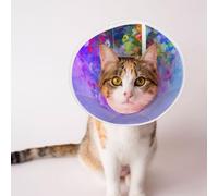 Mosytuky Pet Recovery Collars & Cones for Dogs and Cats After Surgery Adjustable Dog Neck Cone Surgical Elizabeth E-Collar Prevent Biting and Stop Licking Wound (Colorful Purple Cosmos Flower,Medium)