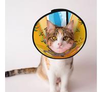 Mosytuky Pet Recovery Collars & Cones for Dogs and Cats After Surgery Adjustable Dog Neck Cone Surgical Elizabeth E-Collar Prevent Biting and Stop Licking Wound (Animals On Noah's Ark1,Small)