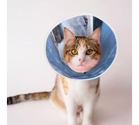 Mosytuky Pet Recovery Collars & Cones for Dogs and Cats After Surgery Adjustable Dog Neck Cone Surgical Elizabeth E-Collar Prevent Biting and Stop Licking Wound (Lighthouse in Havana,Small)